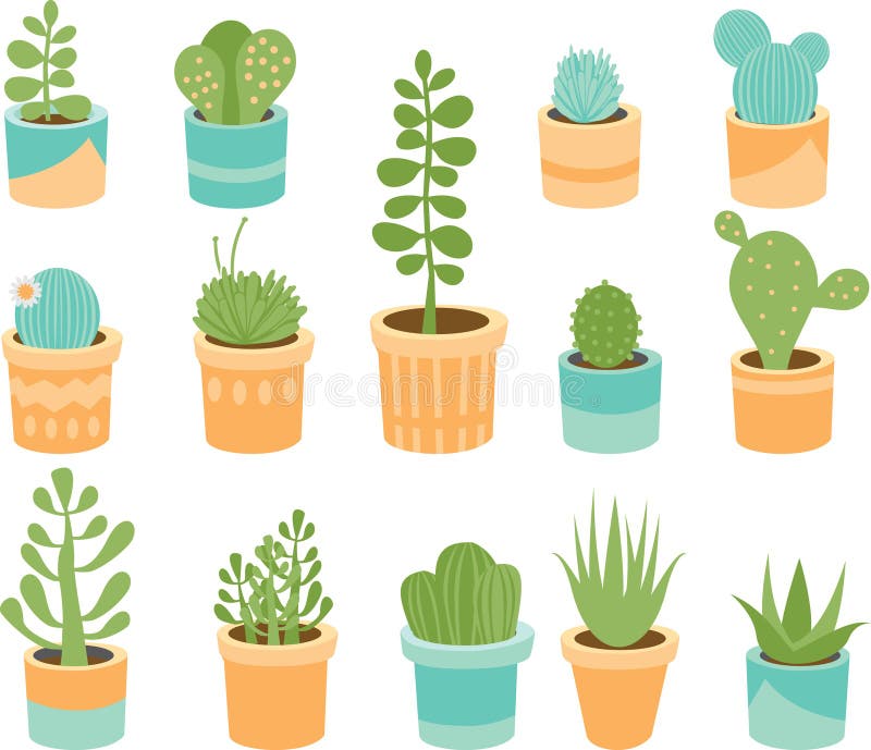 Succulente mengeling royalty-vrije illustratie Succulente mengeling royalty-vrije illustratie