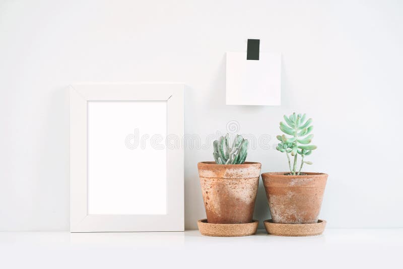 Succulents or cactus in clay pots over white background on the shelf.