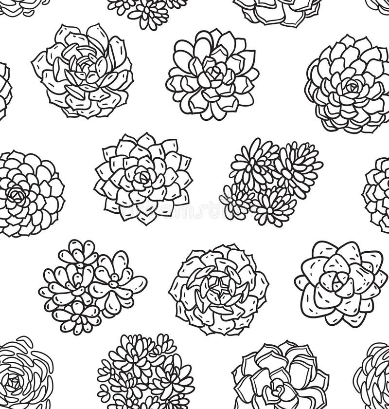 Succulents Outline Seamless Pattern. Ideal for Coloring Page Stock ...