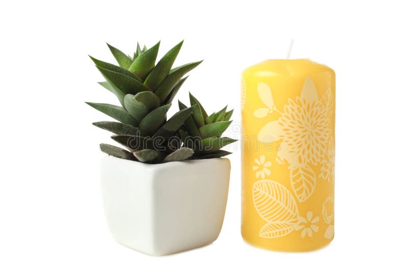 Succulents άσπρα flowerpot και το κερί στοκ εικόνα Succulents άσπρα flowerpot και το κερί στοκ εικόνα