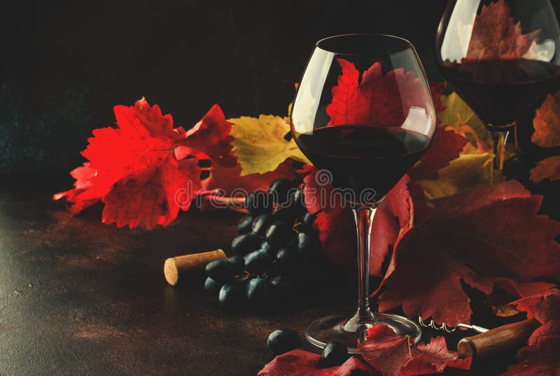 Dry red wine from pinot noir grapes in large glasses, autumn still life with red and yellow leaves on dark background, low key, selective focus. Dry red wine from pinot noir grapes in large glasses, autumn still life with red and yellow leaves on dark background, low key, selective focus