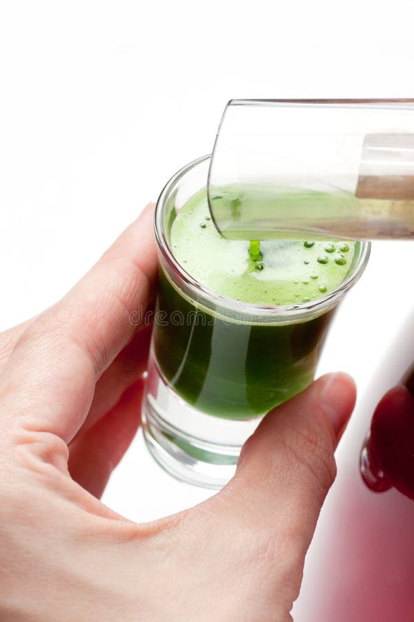 Squeezing wheat grass juice with slow / silent juicer. Squeezing wheat grass juice with slow / silent juicer