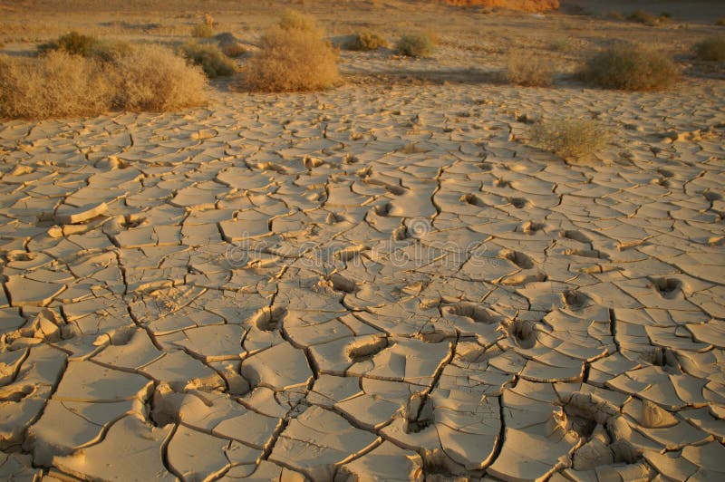 Экологические проблемы зоны пустынь и полупустынь. Загрязнение почвы опустынивание. Загрязнение в пустыне. Экологическая катастрофа пустыни. Орошение в пустыне.