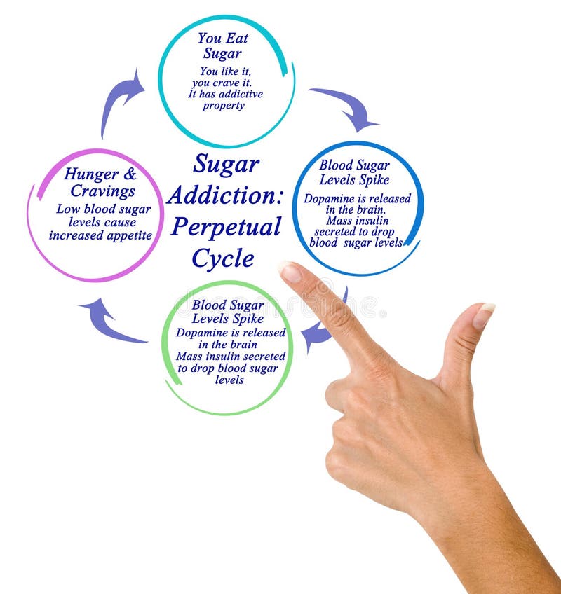 Presenting Sugar Addiction: The Perpetual Cycle. Presenting Sugar Addiction: The Perpetual Cycle