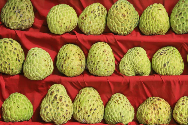 Sugar Apple or Custard Apple Stock Photo Image of fruit, farm 26412210