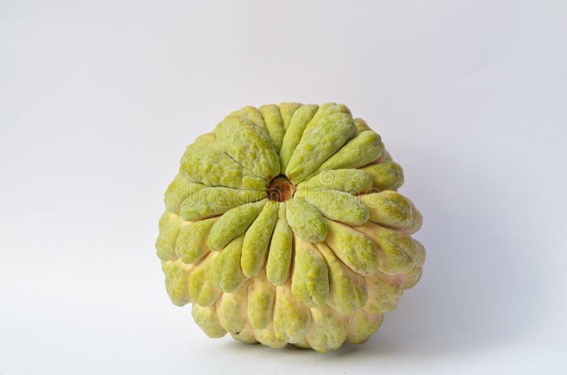 Sugar Apple fruit stock photo. Image of freshness, minerals 27594344