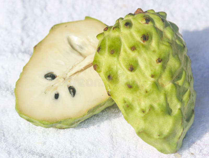 Sugar Apple Fruit Exotic Fruit Stock Photo Image of fruit, exotic