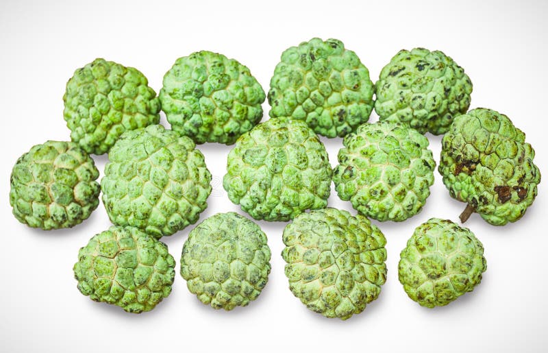 Sugar apple stock image. Image of nutrition, juicy, vitamins 61893101