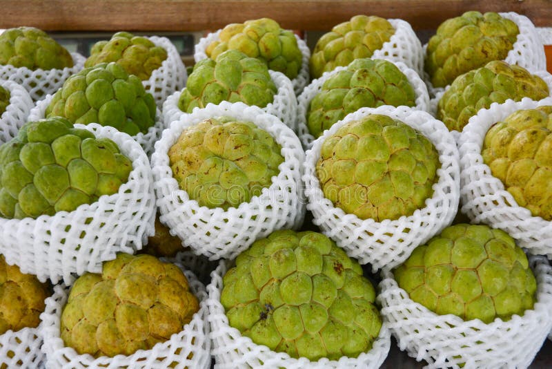 Sugarapples stock photo. Image of dirty, pagoda, facade 74446402