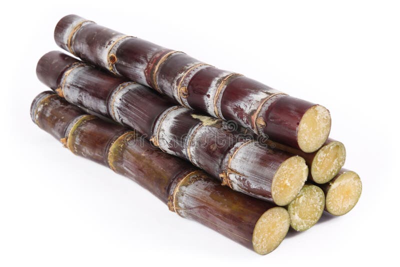 Sugar cane stock image. Image of tropics, stum, purple 13388459
