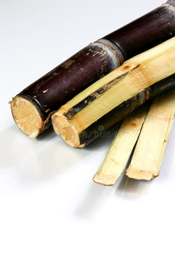 Sugar cane