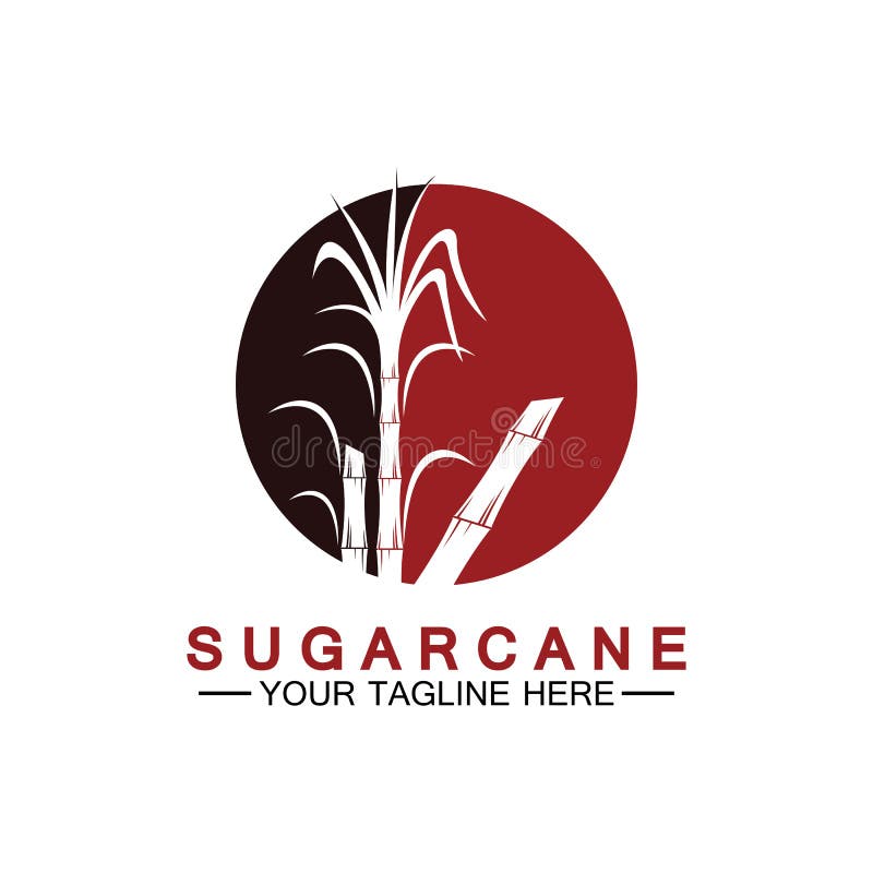 Sugar Cane Logo Icon Symbol Vector Illustration Design Template Stock