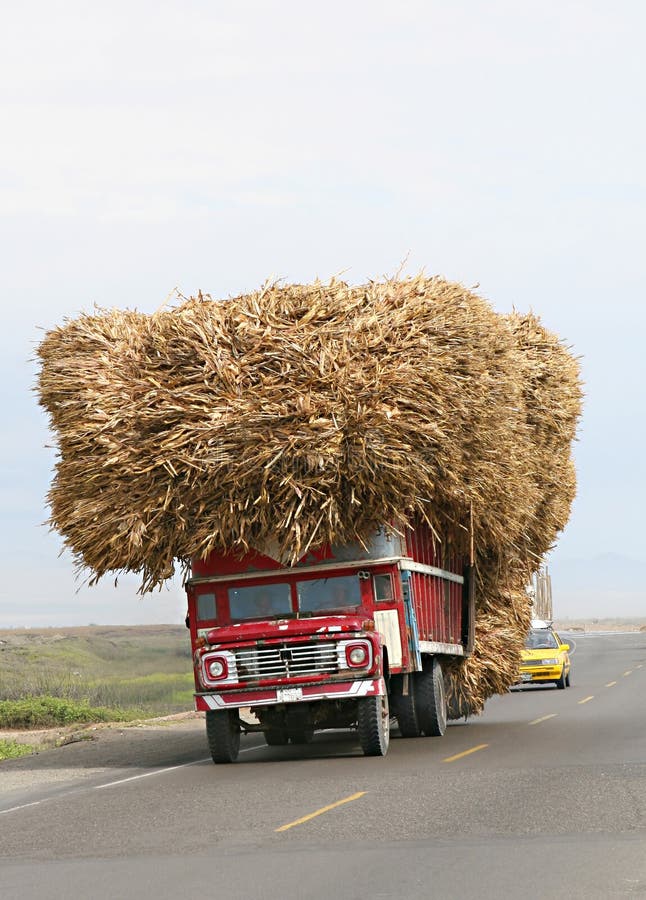 Sugar Cane Transport