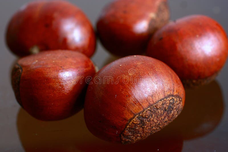 Fried Chestnuts and Fire, Close Up Stock Image Image of fried