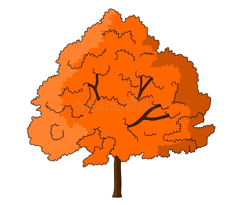 List 28+ Background Images how to draw a sugar maple tree Superb List 28+ Background Images how to draw a sugar maple tree Superb