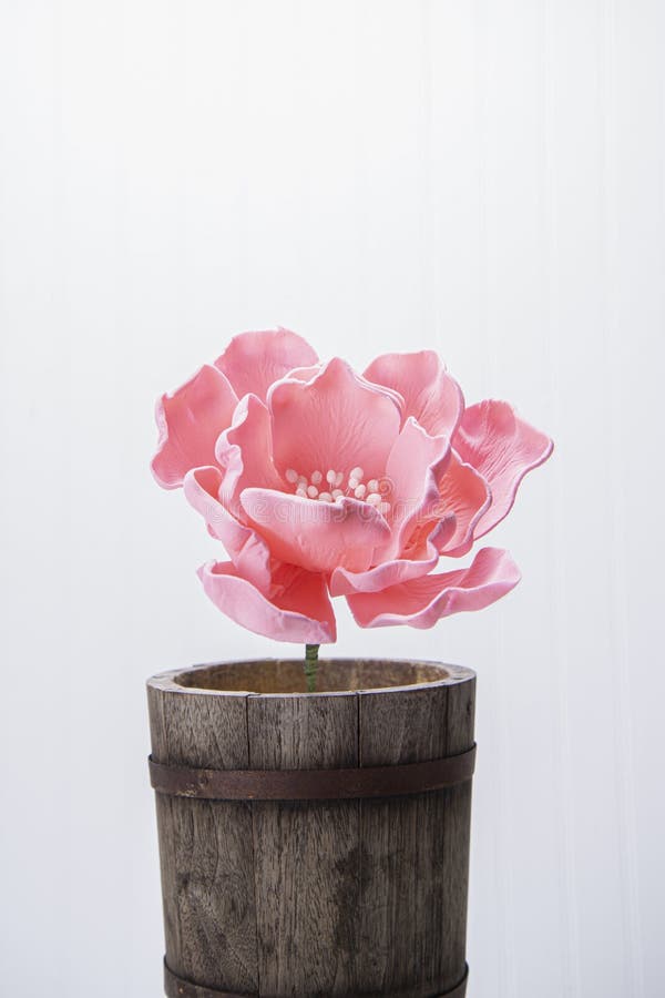 Sugar paste flowers stock photo. Image of blueberries 267634146