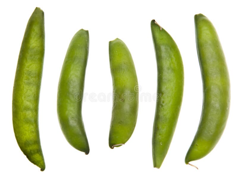 Sugar Snap Peas stock photo. Image of snack, path, food 13512840