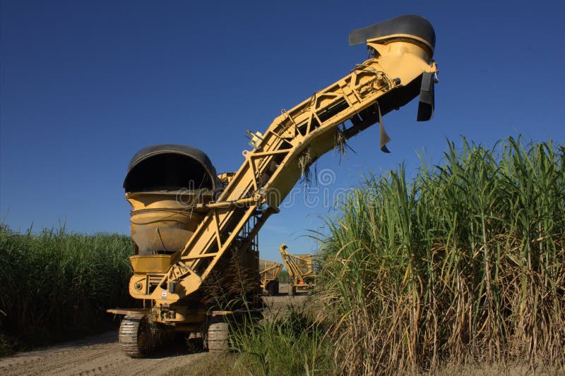 Sugarcane Cutter stock photo. Image of macine, used, cutter 47715080