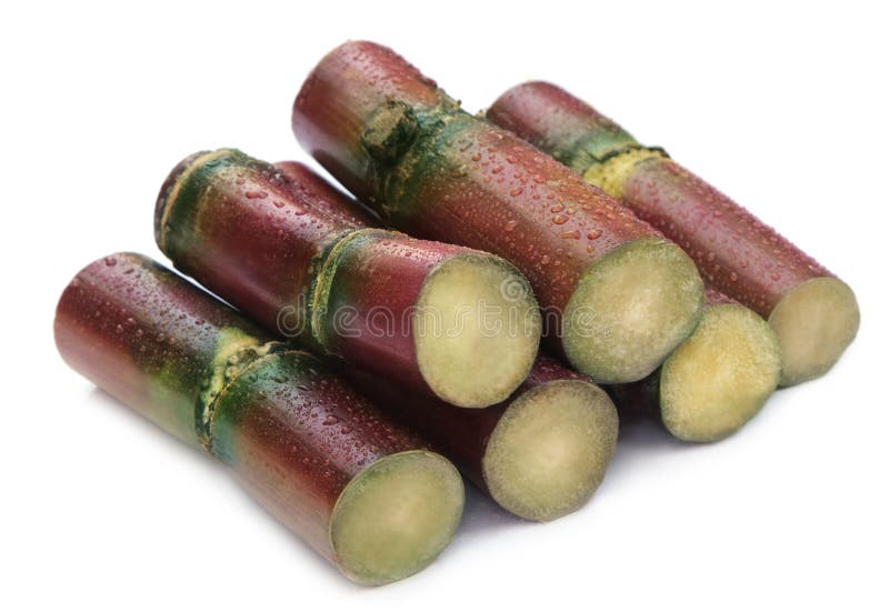 Red sugar cane stock photo. Image of head, summer, fresh 35498502