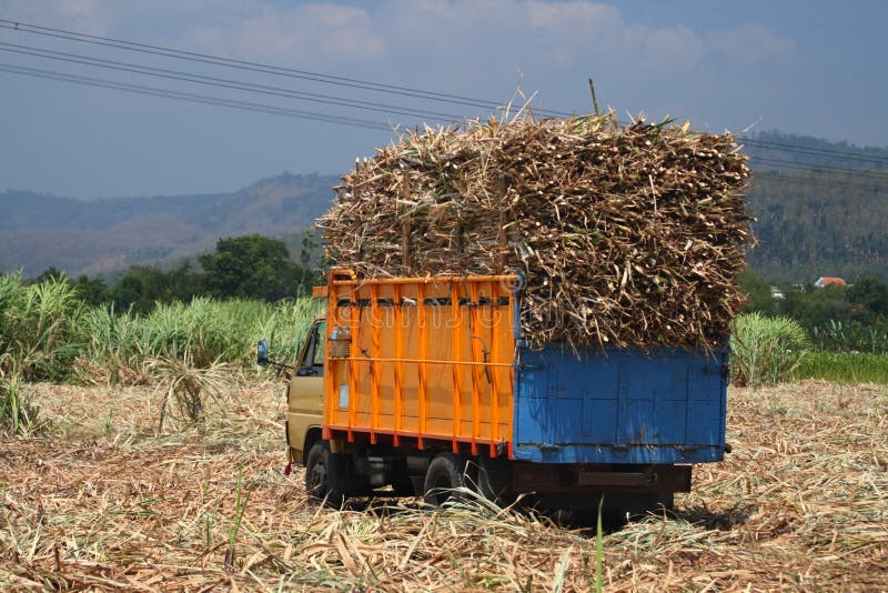 Sugarcane transportation stock photo. Image of transport 12956064