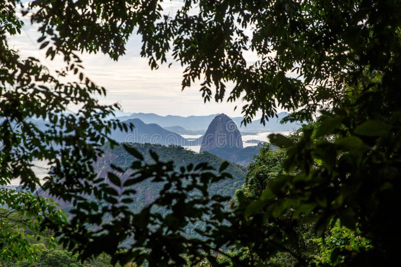 Sugarloaf mountain in green tree frame. Rio de Janeiro, Brazil royalty free stock image Sugarloaf mountain in green tree frame. Rio de Janeiro, Brazil royalty free stock image