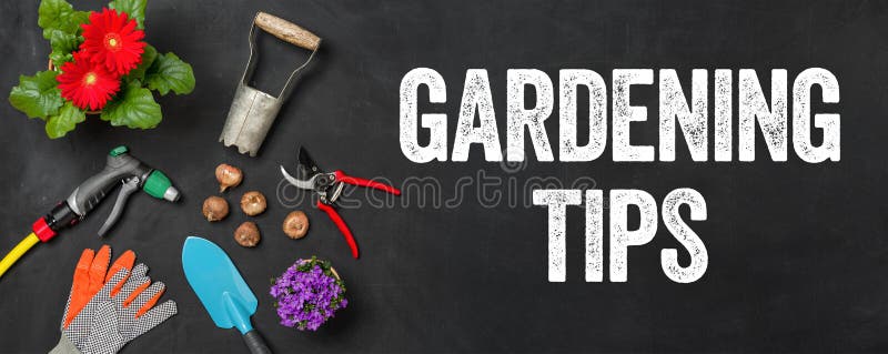 Suggerimenti per il giardinaggio