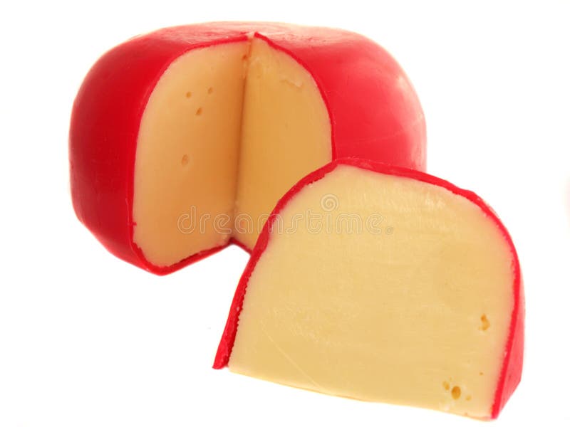 Suisse de fromage photo stock Suisse de fromage photo stock