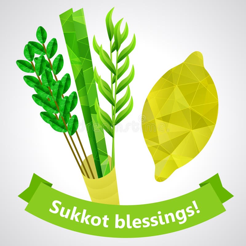 Sukkotsymbolen - vier species - palm, wilg, mirte, etrog royalty-vrije illustratie Sukkotsymbolen - vier species - palm, wilg, mirte, etrog royalty-vrije illustratie