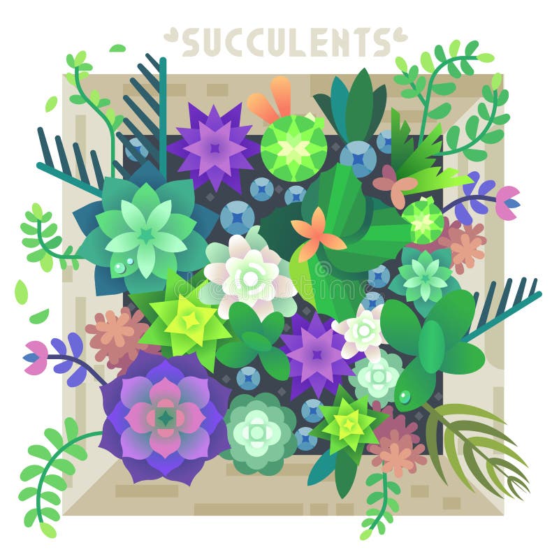Sukulent Kwitnie w pudełku ilustracja wektor Sukulent Kwitnie w pudełku ilustracja wektor