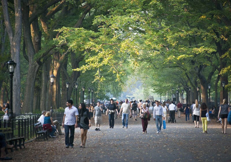 Sul viale Central Park fotografia stock Sul viale Central Park fotografia stock