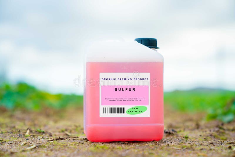 Sulfur royalty free stock photography