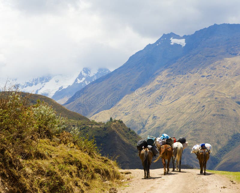 Sulla strada nelle Ande