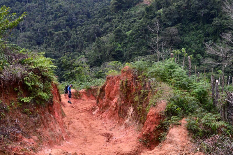 Sulla traccia a La Ciudad Perdida la città persa fotografia stock libera da diritti Sulla traccia a La Ciudad Perdida la città persa fotografia stock libera da diritti