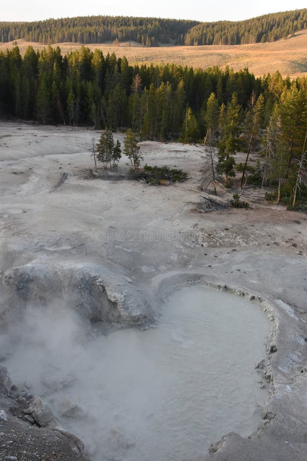 Sulphur Caldron at Yellowstone National Park Stock Photo Image of