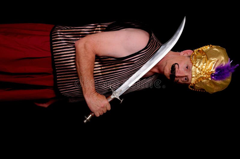 The Sultan royalty free stock photography