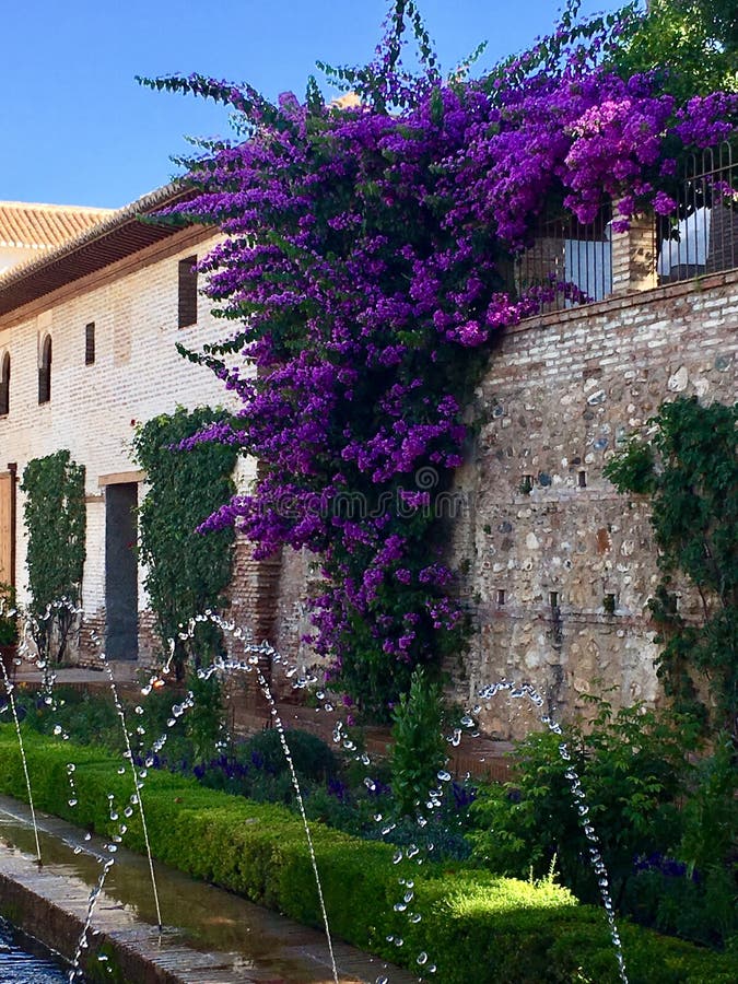 Sultans Gardens at Alhambra Stock Photo - Image of purple, wall: 120963278