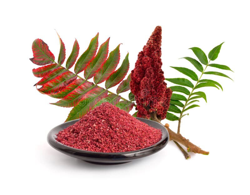 Sumac spice with branch isolated