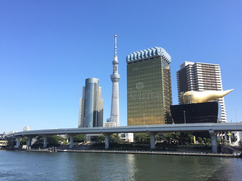 Sumidagawa rzeczny widok z nieba drzewem i Asahi Górujemy w Tokio Japonia zdjęcie stock Sumidagawa rzeczny widok z nieba drzewem i Asahi Górujemy w Tokio Japonia zdjęcie stock