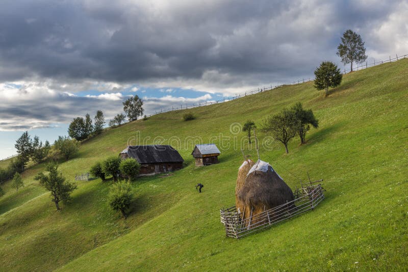 Summer alpine landscape with green fields and haystacks, Bran, Transylvania, Romania stock images Summer alpine landscape with green fields and haystacks, Bran, Transylvania, Romania stock images
