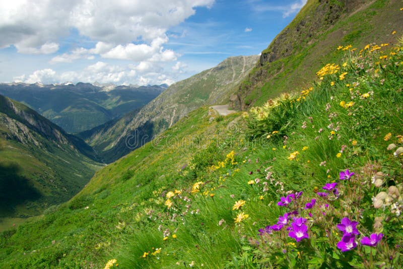 Panorámico sobre el rocoso montanas, verde pendientes Salvaje flores en.