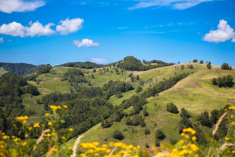 Summer in Apuseni