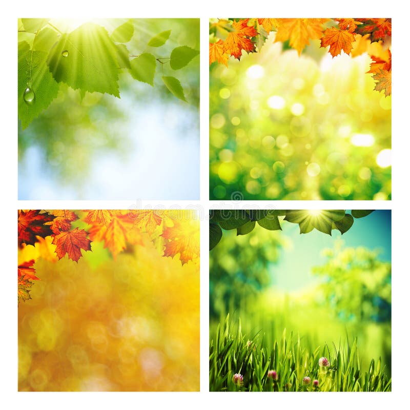 Between Summer And Fall Summer and autumn stock image. Image of meadow, flora - 47187629