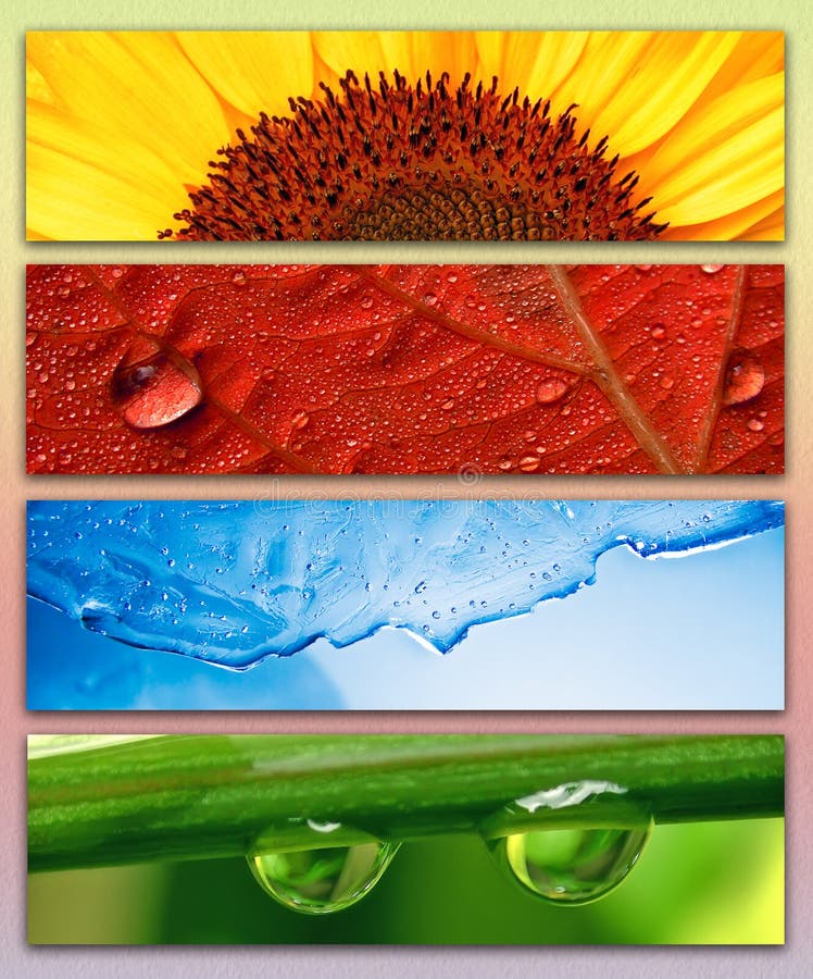 Summer, Autumn, Winter, Spring Stock Photo - Image of colorful, four