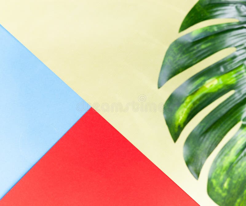 Summer Background of Bright Colors Yellow and Blue and Tropical Leaves