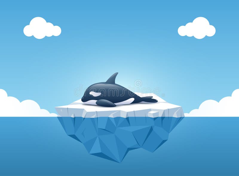 Cute Orca or the Killer Whale Sleeping on the Iceberg in the Summertime.  Iceberg with Above and Underwater View in the Ocean. Stock Vector -  Illustration of killer, island: 113634959