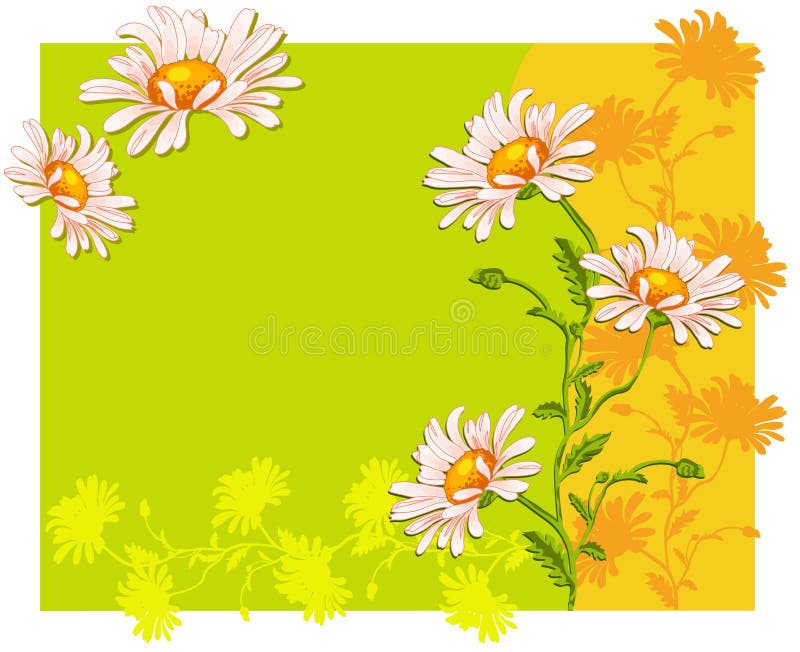 Summer background with ox-eye daisys