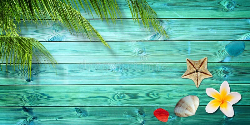 Summer background, palm trees and sea shells stock photography Summer background, palm trees and sea shells stock photography