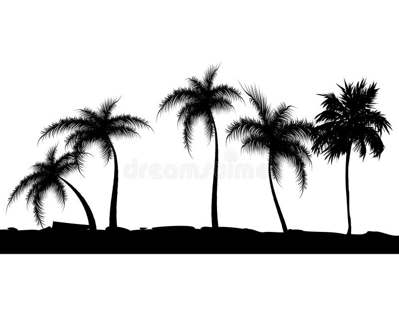 Summer background with palm trees. Vector illustra