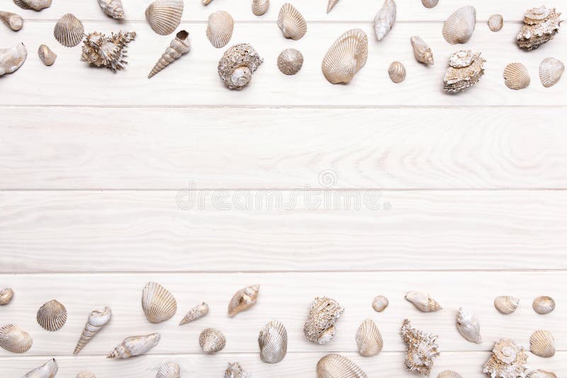 Summer background with white wooden table with many seashell. Copy space royalty free stock photo Summer background with white wooden table with many seashell. Copy space royalty free stock photo
