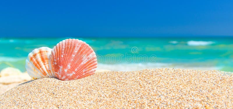 Summer beach background stock photo Image of landscape  57302038